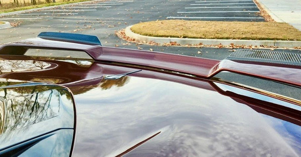 AGM C8 Corvette Carbon Fiber Z51 Wickers