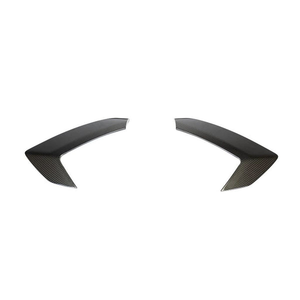 APR Carbon Fiber Rear Quarter Panel Scoops