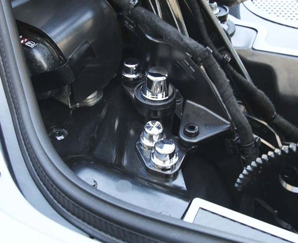 HTC C8 Corvette Hinge Dress-up Bolt And Nut Kit | Triple Coated Chrome