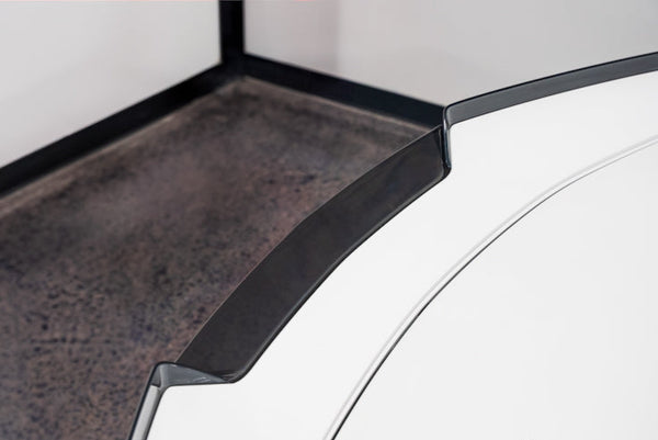 Paragon C8 Eray / Z06 Wicker Bill Center - Smoked Plastic