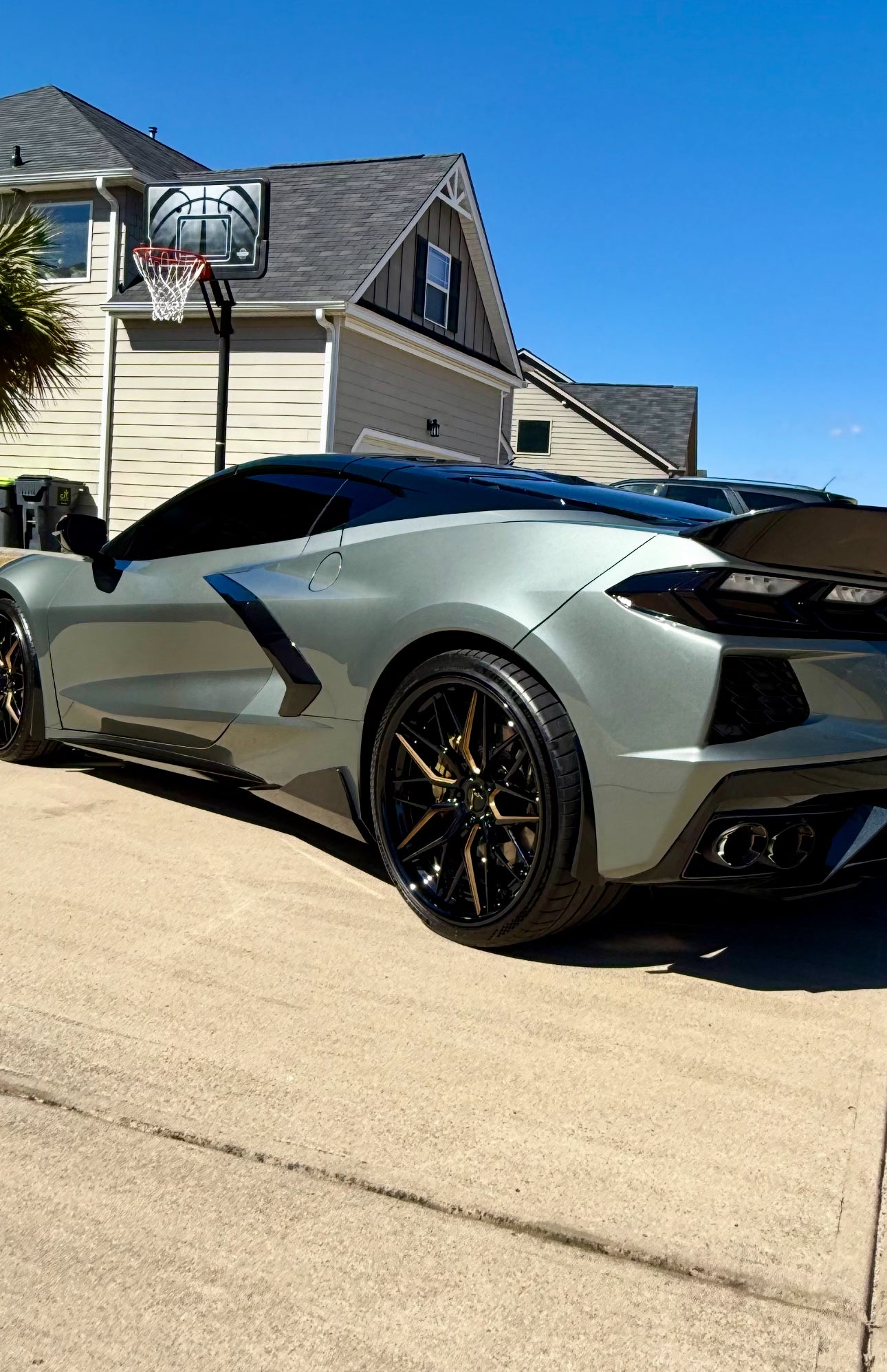 C8 Corvette Carbon Fiber or Carbon Flash 5VM Rocker Winglets