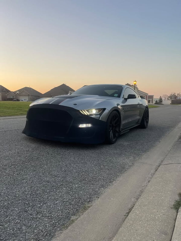 NoviStretch 6th & 7th Gen Mustang Front Bumper Mask