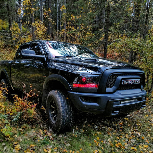 Ram Multicolor DRL Boards (2009-2018)