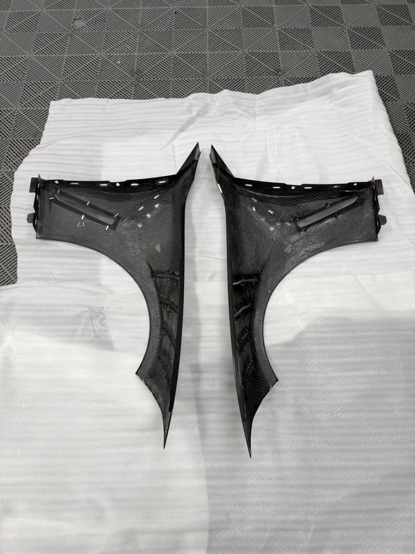 G80 Dry Carbon Fiber V1 Fenders