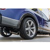 Anderson Composites 21-24 Ford F-150 (Non-Raptor) Type-AO Carbon Fiber Rear Fender Flares