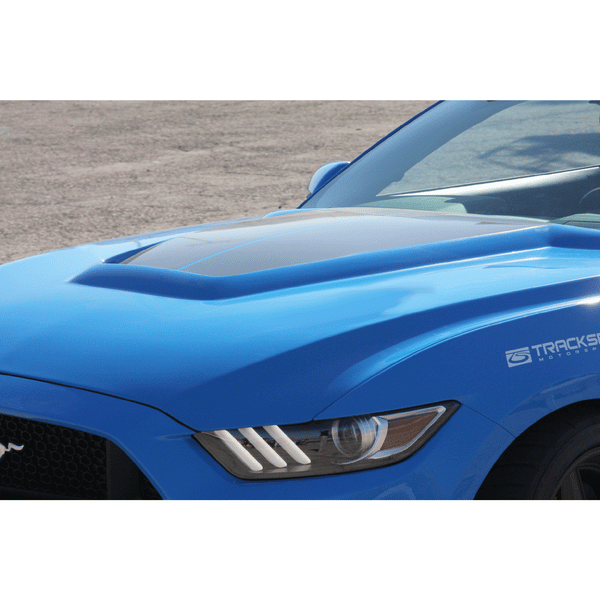 Anderson Composites 15-16 Ford Mustang (Excl. GT350/GT350R) Type-GR Fiberglass Hood