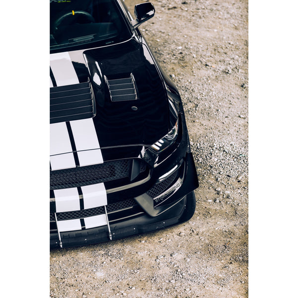 Anderson Composites 15-19 Ford Mustang Shelby GT350 Type-CR Double Sided Carbon Fiber Hood