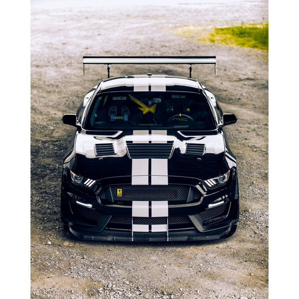 Anderson Composites 15-19 Ford Mustang Shelby GT350 Type-CR Double Sided Carbon Fiber Hood