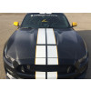 Anderson Composites 2015-2017 Ford Mustang Shelby GT350 Double Sided Carbon Fiber Hood