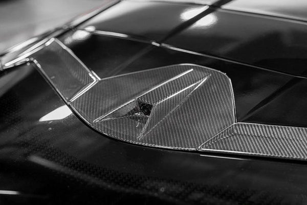 C8 Corvette Carbon Fiber Rear Camera Overlay - Coupe Only