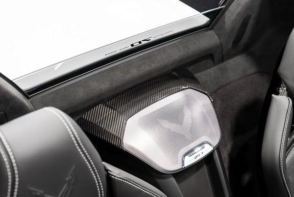 C8 Corvette Carbon Fiber Waterfall Speaker Trim Cover - Coupe or HTC