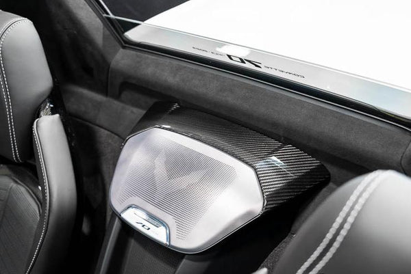 C8 Corvette Carbon Fiber Waterfall Speaker Trim Cover - Coupe or HTC