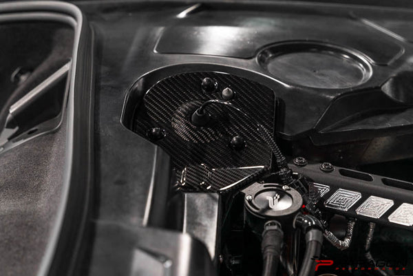 Paragon Performance C8 Corvette Carbon Fiber Rear Strut Tower Covers