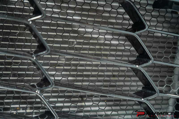 Paragon Performance C8 Corvette Eray & Z06 Radiator Guards / Grill Guards - OEM Style