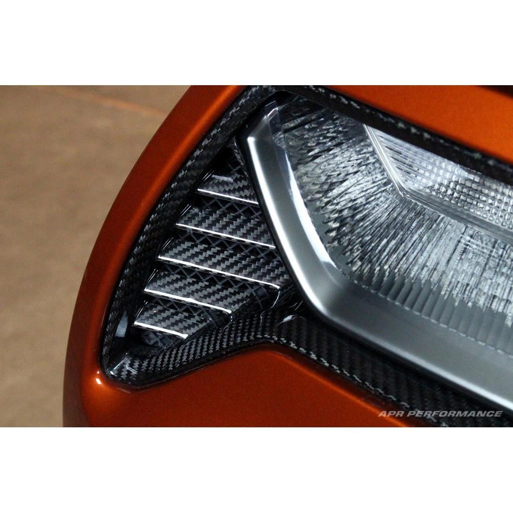 Carbon Fiber Tail light Bezel