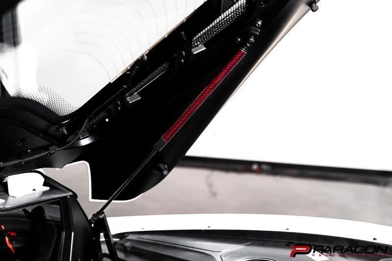 Paragon Performance C8 Corvette Carbon Fiber Hood Struts - Red