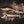 Rvng (G80,G82, G87) G8X/S58 HydroFlow 5” Catless Downpipes