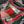 Corvette HTC Engine Intake Cover