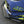 Subaru WRX STI Carbon Fiber Front Bumper Top Canards 2015-2017