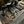 AGM C8 Corvette Carbon Fiber Ultimate Engine Bay Package