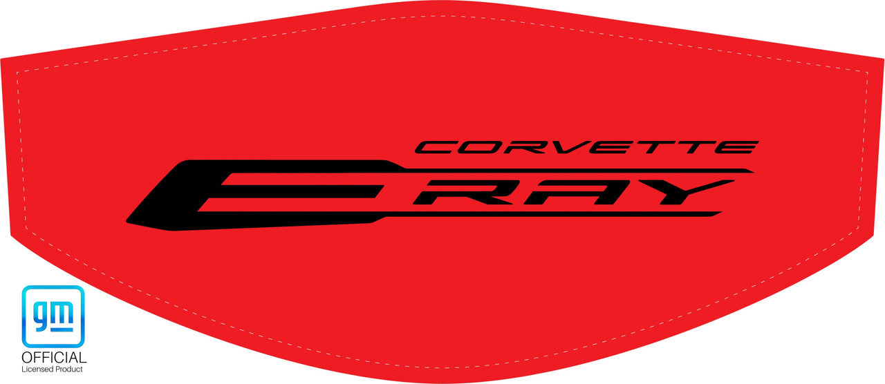 Black Corvette E-Ray C8 Trunk Cover