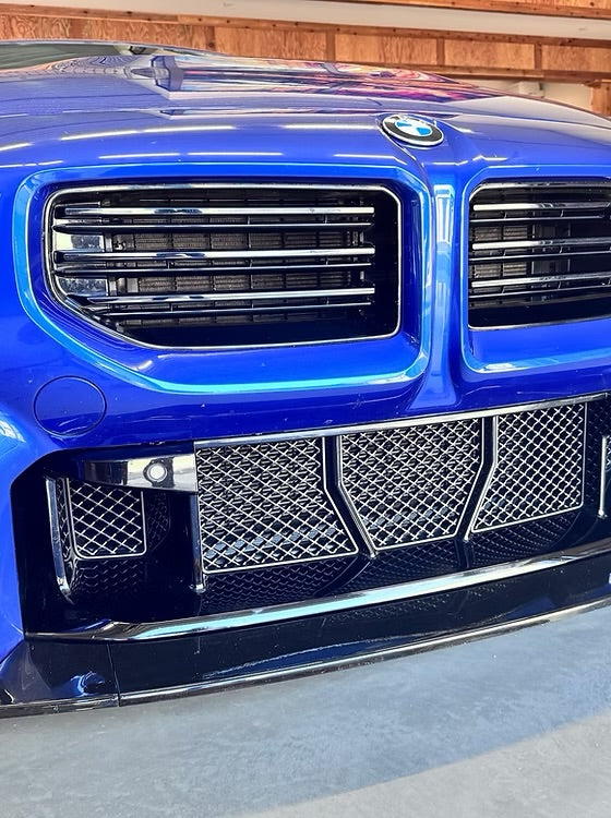 2023+ BMW M2 G87 V2.0 Front Radiator Grille Mesh Protection