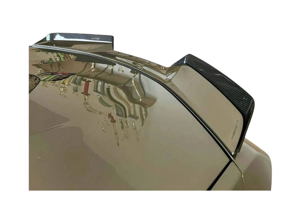 AGM C8 Z06 / ERay / ZR1 Visible Carbon Spoiler Wicker Extensions ...