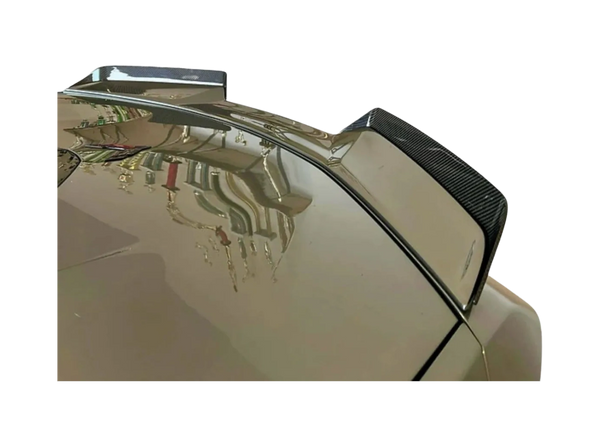 AGM C8 Z06 / ERay Visible Carbon Spoiler Wicker Extensions