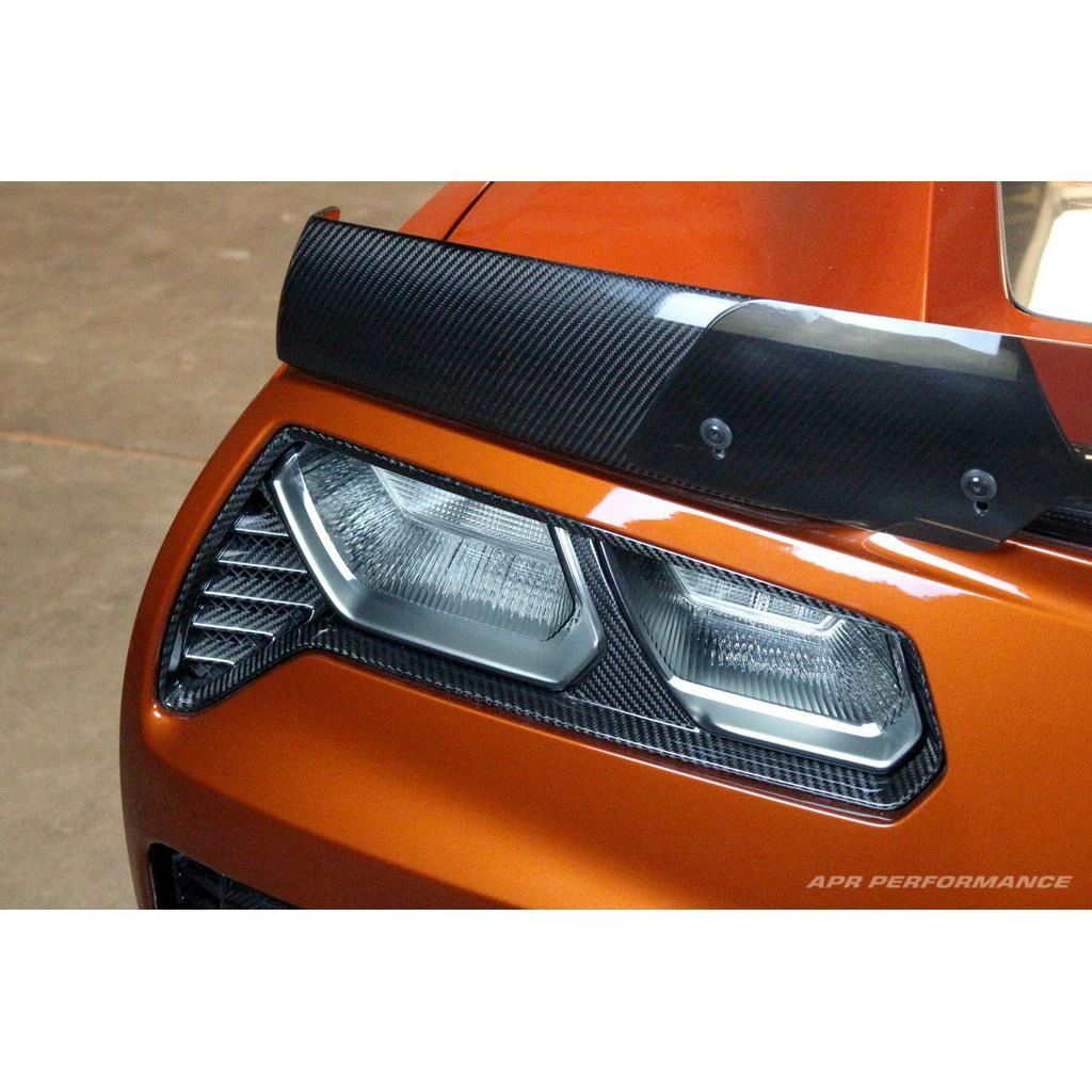 Carbon Fiber Tail light Bezel