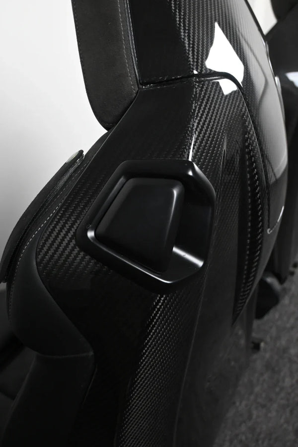 G8X Dry Carbon Fiber Seat Back Replacement Set