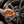 BLACKLINE® TIRE SHINE APPLICATOR BRUSH