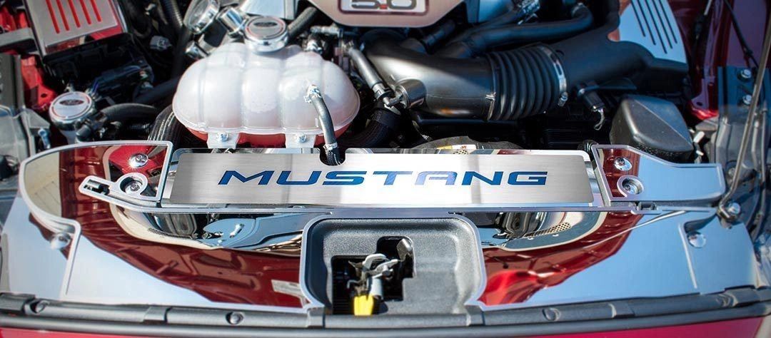 2015-2017 Mustang GT/EcoBoost - Radiator Cover Vanity Plate 'MUSTANG' | Brushed, Choose Inlay Color