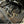 AGM C8 Corvette Carbon Fiber Ultimate Engine Bay Package