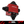 BMW B58 Gen2 Auxiliary Split Fuel System