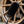 BLACKLINE® WHEEL BARREL BRUSH