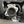Chevrolet C8 Corvette SOUL Sport Catalytic Converters