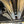2015-2020 BMW F80 M3 F82 F83 M4 Resonated Mid Pipe Exhaust