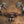Valvetronic Valved Sport Exhaust System for Porsche 992 GT3/RS