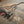 BMW F87 M2 Valved Sport Exhaust System (N55)