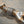 BMW F87 M2 Valved Sport Exhaust System (N55)