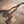 BMW X3M / X4M Valved Sport Exhaust System (F97 / F98)