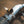 Ferrari 296 GTB/GTS Sport Exhaust Package