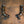 Ferrari 296 GTB/GTS Sport Exhaust Package