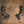 Ferrari 296 GTB/GTS Sport Exhaust Package