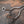 Audi RS6 / RS7 C8 Valved Sport Exhaust System