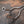 Audi RS6 / RS7 C8 Valved Sport Exhaust System