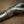 Lamborghini Revuelto F1 Exhaust Package