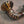 Valvetronic Valved Sport Exhaust System for Porsche 992 GT3/RS