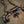 BMW M8 Valved Sport Exhaust System (F91,F92,F93)