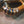 Mercedes W213 E63 AMG / AMGs Valved Sport Exhaust System